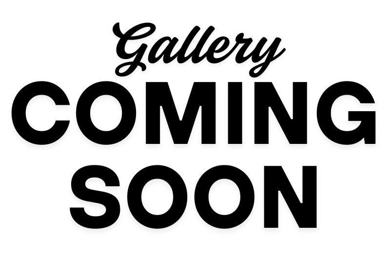 Gallery Coming Soon Attic Fan LP_Remote_Solar-Panel-1