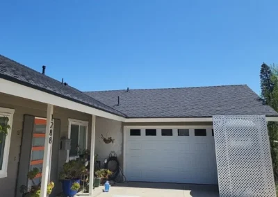 Shingle Roof