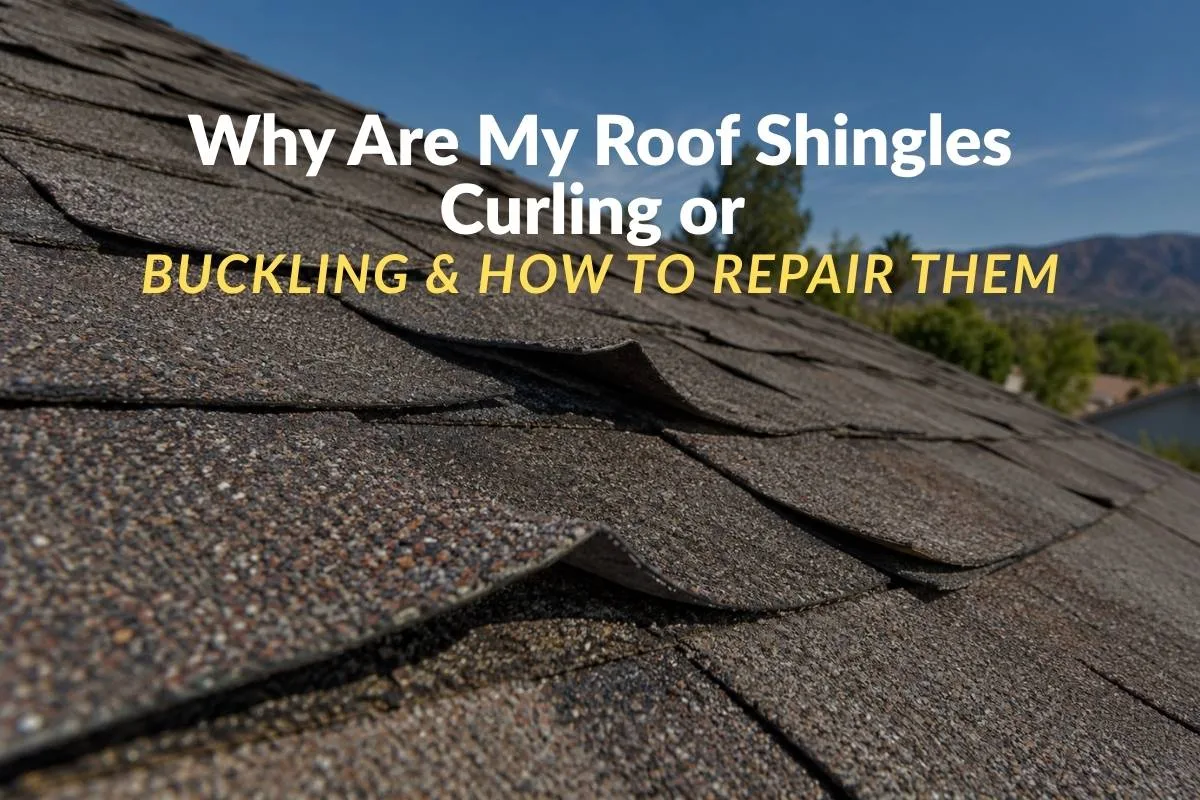 Why Are My Roof Shingles Curling or Buckling & How to Repair Them